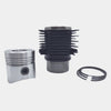 Kit (Piston + Set segmenti + Camasa cilindru-Diametru : 85.00 mm): LOMBARDINI / LDA 450