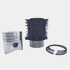 Kit (Set piston si segmenti + Camasa cilindru-Diametru : 100.00 mm) : LOMBARDINI / LDA 100 / 4LD 705