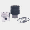 Kit (Set piston si segmenti + Camasa cilindru-Diametru : 85.00 mm) : LOMBARDINI / 3LD 510