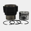 Kit (Piston + Set segmenti + Camasa cilindru): HATZ / 1D42 / Nr. referinta: 020 152 00-K