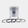 Piston + Set segmenti (0,50 - Diametru: 100,50 mm): RUGGERINI / CRD 100 / RP 170 / CRD 100-2 / RP 320 / Nr. referinta: 2184-S