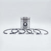 Piston + Set segmenti (0,50 - Diametru: 108,45 mm): LISTER / HRS / HRWS / HR / HRA / HRW