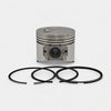 Set piston si segmenti (0,50 - Diametru: 74,50 mm): YANMAR / 3TNE74