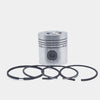Piston + Set segmenti (0,50): HATZ / E108 / D108 / Z108 / V108 / Nr. referinta: 004 250 20-S