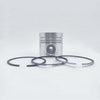 Piston + Set segmenti (1,00 - Diametru: 101,00 mm): LISTER / TX-1 / TX-2 / TX-3