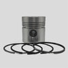 Piston + Set segmenti (STD) - Diametru : 100,00 mm): VM / 101 SU / 102 SU / 103 SU / 104 SU / 106 SU