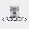 Piston + Set segmenti (STD - Diametru:100,00 mm): SAME / LAMBORGHINI / FL 1002 / FL 1003