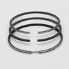 Set segmenti (0,50 - Diametru: 100,50 mm): LISTER / TX-1 / TX-2 / TX-3
