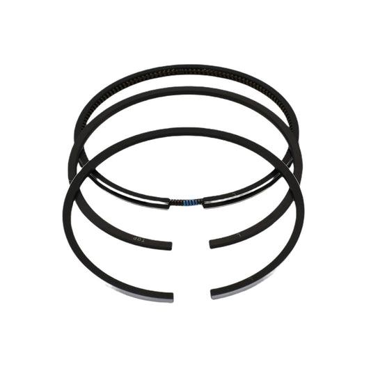 Set segmenti (0,50 - Diametru: 87,50 mm): LOMBARDINI / 15LD 500
