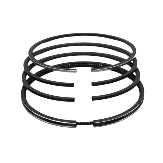 Set segmenti (1.00 - Diametru: 101.00 mm): SAME / LAMBORGHINI / FL 1002 / FL 1003 / Nr. referinta: 0.311.0054.4