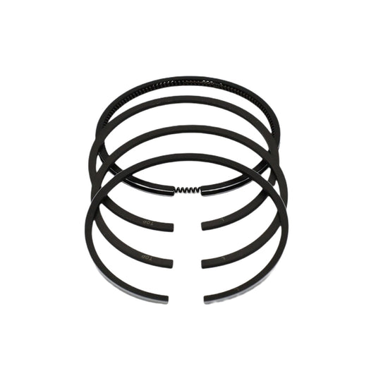 Set segmenti (1,00 - Diametru: 79,00 mm): LOMBARDINI / 6LD 325 / LDA 520 / Nr. referinta: 8210 082 (4R)