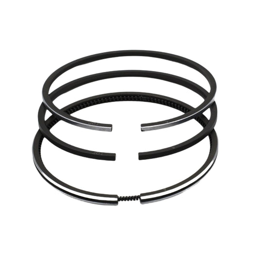 Set segmenti (1,00 - Diametru: 81,00 mm): RUGGERINI / RD 80 / RF 80 / RF 81 / RF 88 / Nr. referinta: 2342