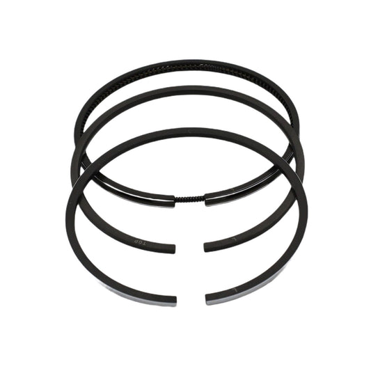 Set segmenti (1,00 - Diametru: 96,00 mm): LOMBARDINI / 7LD 665 / 8LD 665-2 / 9LD 625-2 /11LD 625-3 / Nr. referinta: 8211 211
