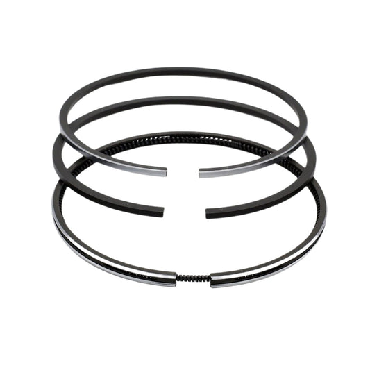 Set segmenti (1,00 - Diametru: 99,425 mm): LISTER / TR-1 / TR-2 / TR-3