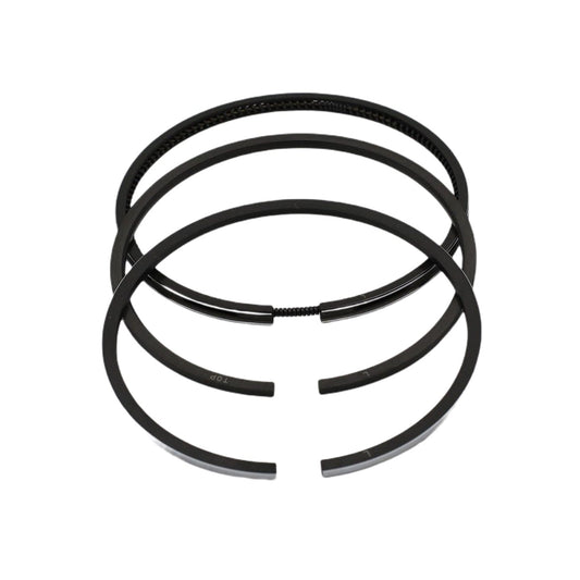 Set segmenti piston (STD - Diametru: 95.00 mm): RUGGERINI / RD 290
