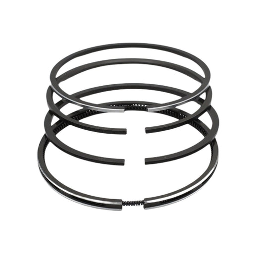 Set segmenti (STD - Diametru: 95.00 mm): RUGGERINI / RF 140 / RF 148 / RD 270 / RD 278 / RD 950 / RD 952 / Nr. referinta: 2495