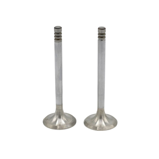 Supapa SET (Em+Eg): HATZ / E71 / E75 / E79 / E780 / Nr. referinta: 031 243 10+243 10