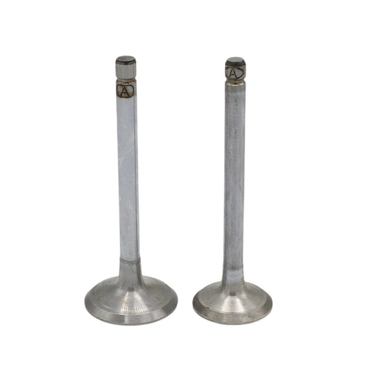 Supapa SET (Em+Eg): KUBOTA / V2003 / V2403 / Nr. referinta: 1G896-13110 + 1G896-13120