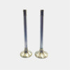 SET MOTOR Supapa (In+Ex) : MWM / D 226-B / Nr. referinta: 622604605014 + 622604605034