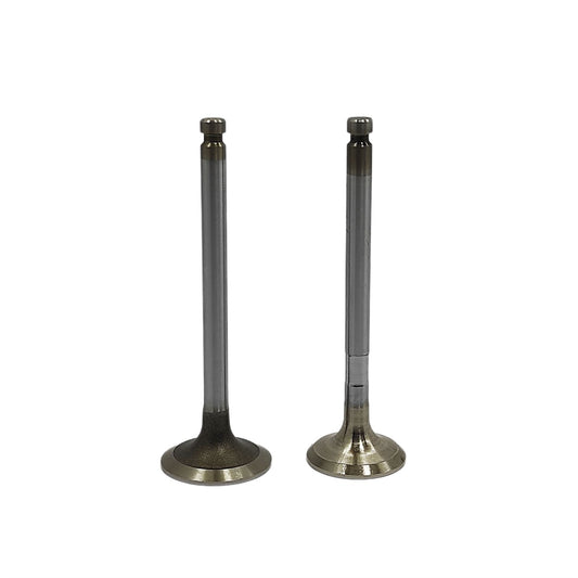 Supapa SET (Em+Eg): YANMAR / 3TNE78 / 3TNE82 / Nr. referinta: 119810-11100 + 119810-11110