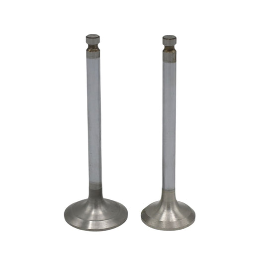 Supapa SET (Em+Eg): YANMAR / 3TNV82 / Nr. referinta: 119802-11100 + 119802-11110
