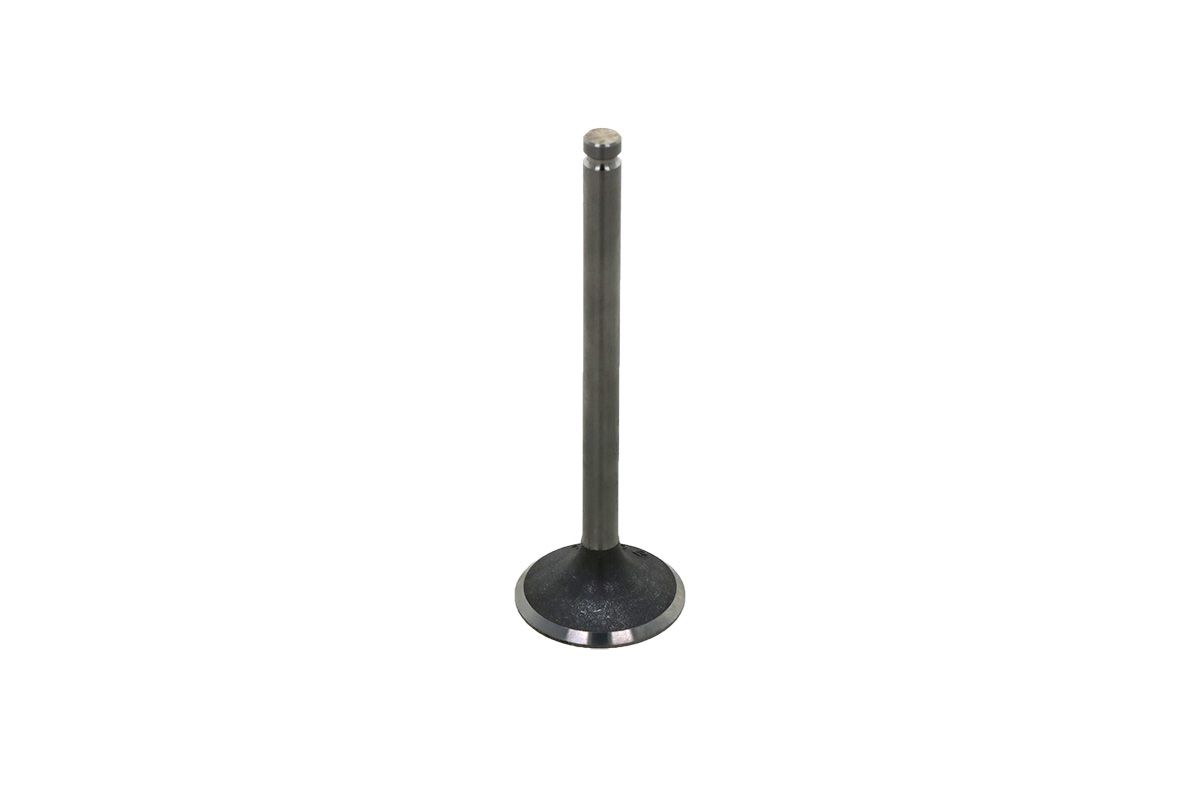 Intake Valve Iseki TS