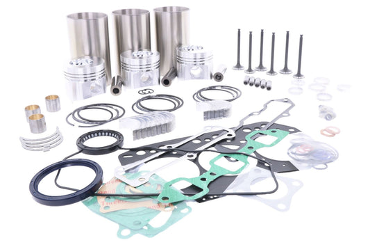 Kit de revizie motor (injecție directă) Yanmar 3TNC80