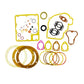 Garnitura SET (CU GARNITURĂ): RUGGERINI / RF 140 / RF 148 / RD 950 / Nr. referinta: 2482 (S)