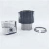 Kit (Piston - 22 PIN + Set segmenti piston + Camasa cilindru- Diametru : 86,00 mm): LOMBARDINI / 6LD 435