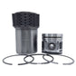 Kit (Set piston si segmenti + Camasa cilindru - 105.00 mm): SAME / LAMBORGHINI / 1000.3 AT / 1000.3 AT-POT / 1000.4 AT / 1000.4 AT2 / 1000.4 ATG / 1000.4 ATG / 1.040 ATI / 1.040. 1000.4 ATIG / 1000.4 ATIS / 1000.6 AT / Nr. referinta : 0.087.0065.6/20