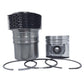 Kit (Piston + Set segmenti + Camasa cilindru - 105.00 mm): SAME / LAMBORGHINI / 1000.3 A / 1000.3 A5 / 1000.4 A / 1000.4 A1 / 10040 / 1000.4 A / 100.40 A 1000.4 A5 / 1000.6A / 1000.6 A1 / 1000.4 W / 1000.6WT / Nr. referinta:0.379.0065.A