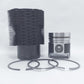 Kit (Set piston si segmenti + Camasa cilindru - 105,00 mm): SAME / LAMBORGHINI / 1054 PT / 1056 PT / 1056 PS / 1056 PTI / Nr. referinta:0,052,0065,6/3065,6