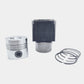 Kit (Piston + Set segmenti + Camasa cilindru - Diametru : 100,00 mm): LOMBARDINI / LDA 832 / LDA 833 / LDA 834 / 5LD 825-2;3;4