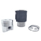 Kit (Piston + Set segmenti + Camasa cilindru - Diametru : 95.00 mm): LOMBARDINI / LDA 672 / LDA 673 / LDA 674