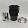 Kit (Set piston si segmenti + Camasa cilindru - Diametru: 105,00 mm): VM / SUN 2105 / SUN 3105 / SUN 4105 / SUN 6105