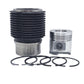 Kit (Piston + Set segmenti + Camasa cilindru - Diametru: 85,00 mm): RUGGERINI / RD 85 / RD 850 / RF 100 / Nr. referinta: 2130-K