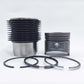 Kit (Set piston si segmenti + Camasa cilindru - Diametru: 90 mm): RUGGERINI / RF 90 / RF 91 / Nr. referinta: A 2153-K