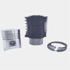 Kit (Piston + Set segmenti + Camasa cilindru-Diametru : 95.00 mm): LOMBARDINI / 4LD 640 / LDA 96