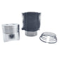 Kit (Piston + Set segmenti + Camasa cilindru-Diametru : 102.00 mm): LOMBARDINI / 4LD 820