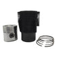 Kit (Set piston si segmenti + Camasa cilindru - Diametru: 105,00 mm): VM / SUN 2105 / SUN 3105 / SUN 4105 / SUN 6105