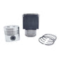 Kit (Piston + Set segmenti + Camasa cilindru - Diametru : 100,00 mm): LOMBARDINI / LDA 832 / LDA 833 / LDA 834 / 5LD 825-2;3;4