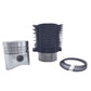 Kit (Set piston si segmenti + Camasa cilindru-Diametru : 100.00 mm) : LOMBARDINI / LDA 100 / 4LD 705
