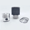 Kit (Piston + Set segmenti + Camasa cilindru - Diametru : 100,00 mm): LOMBARDINI / LDA 832 / LDA 833 / LDA 834 / 5LD 825-2;3;4