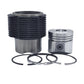 Kit (Set piston si segmenti + Camasa cilindru-Diametru : 82.00 mm) (3R): LOMBARDINI / 6LD 360
