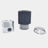 Kit (Piston + Set segmenti + Camasa cilindru - Diametru : 100.00 mm): LOMBARDINI / 5LD 824-3