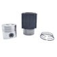 Kit (Piston + Set segmenti + Camasa cilindru - Diametru : 100.00 mm): LOMBARDINI / 5LD 824-3
