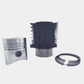 Kit (Set piston si segmenti + Camasa cilindru-Diametru : 100.00 mm) : LOMBARDINI / LDA 100 / 4LD 705