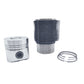 Kit (Set piston si segmenti + Camasa cilindru - Diametru : 95.00 mm) : LOMBARDINI / LDA 914 / 8LD 665-2