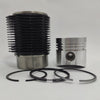 Kit (Piston + Set segmenti + Camasa cilindru, Diametru : 95.00 mm): RUGGERINI / RD 290