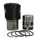 Kit (Piston + Set segmenti + Camasa cilindru - Diametru: 95,00 mm): DEUTZ / F1L 712 / F2L 712 / F3L 712 / F4L 712 / F6L 712